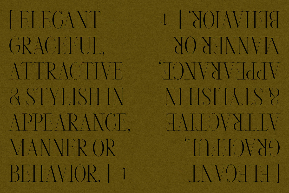 Mikosch – Tasteful & Chic Serif, a Serif Font by Local Desk Designstudio (Photo 8 of 16)