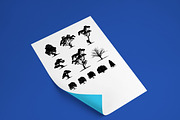 Set of Tree Silhouette illustration, an Object Graphic by Lucky Creative (Thumbnail 2 of 4)