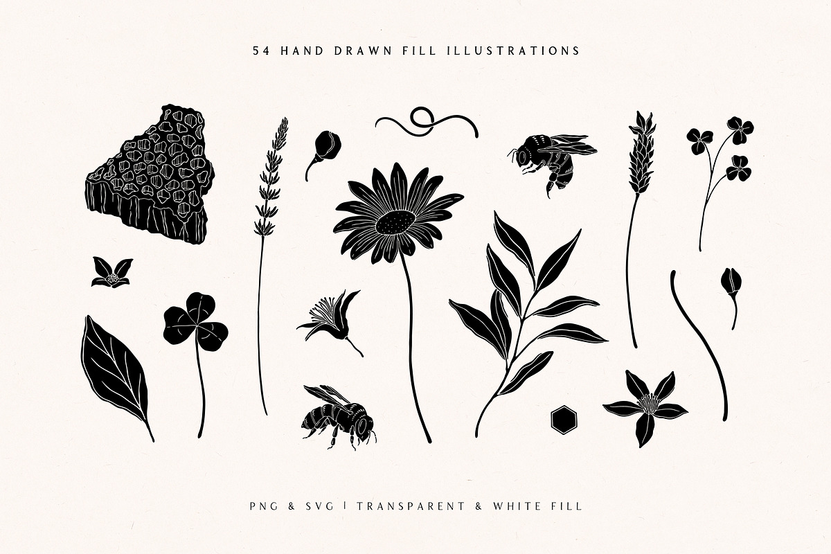 Wild Honey Vector Illustrations, a Decorative Illustration by rouxsupplyco (Photo 5 of 14)