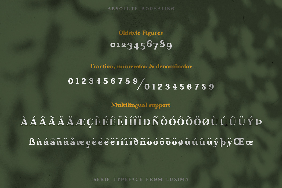 Absolute Borsalino - Serif Font, a Serif Font by Luxima (Photo 8 of 15)