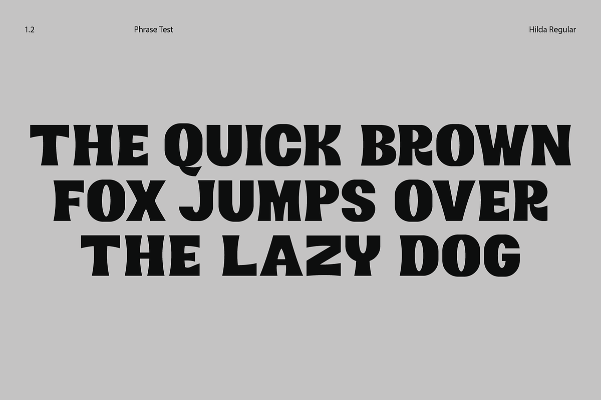 Hilda Typeface, a Font by Bartosz Bugaryn (Photo 3 of 8)