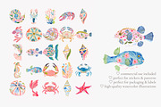Tropical reef clipart set, a Decorative Illustration by Patishop Art (Thumbnail 5 of 10)