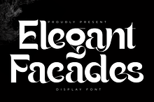 Elegant Facades - Modern Sans Font
