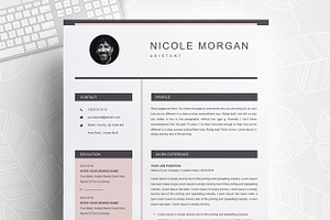 Clean Minimal Resume / CV Template