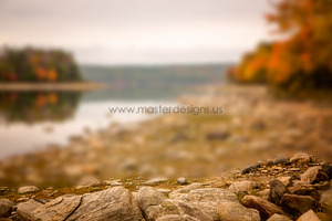 Fine Art Digital Texture/Background