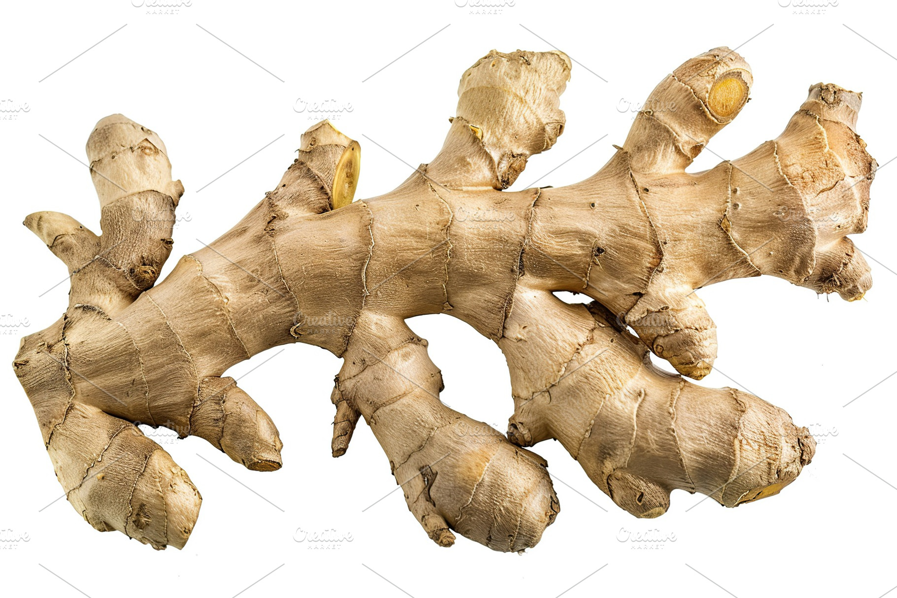 Fresh ginger root isolated on white background, a Food & Drink Photo by AlyaAnd
