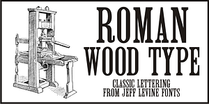 Roman Wood Type JNL, a Slab Serif Font by Jeff Levine Fonts