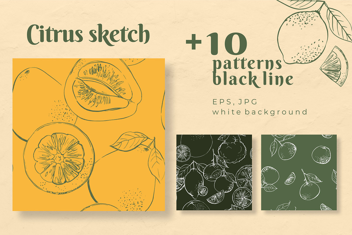 Citrus sketch. Oranges and lemons, a Food Illustration by irina.vaneeva (Photo 7 of 11)