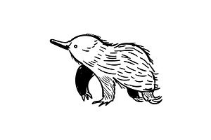 Handdrawn Echidna icon