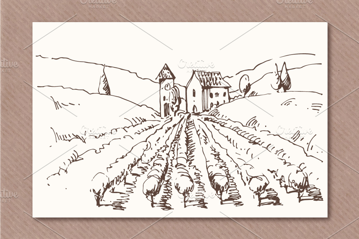 Hand drawn vineyards illustrations, an Illustration by Blue Ink Studio (Photo 4 of 5)