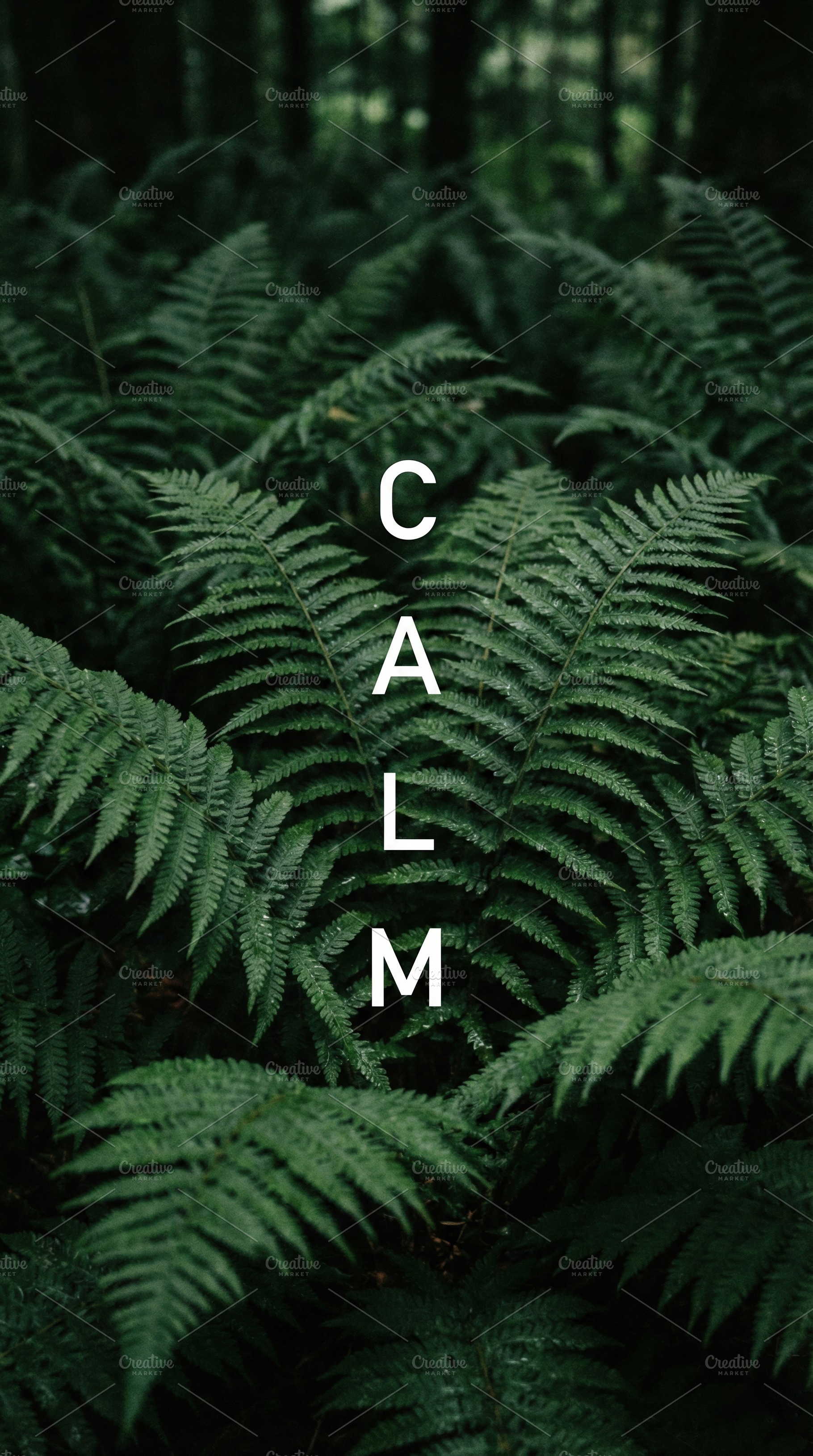 Lush Green Ferns with CALM Text, a Nature Photo by Virgo Studio