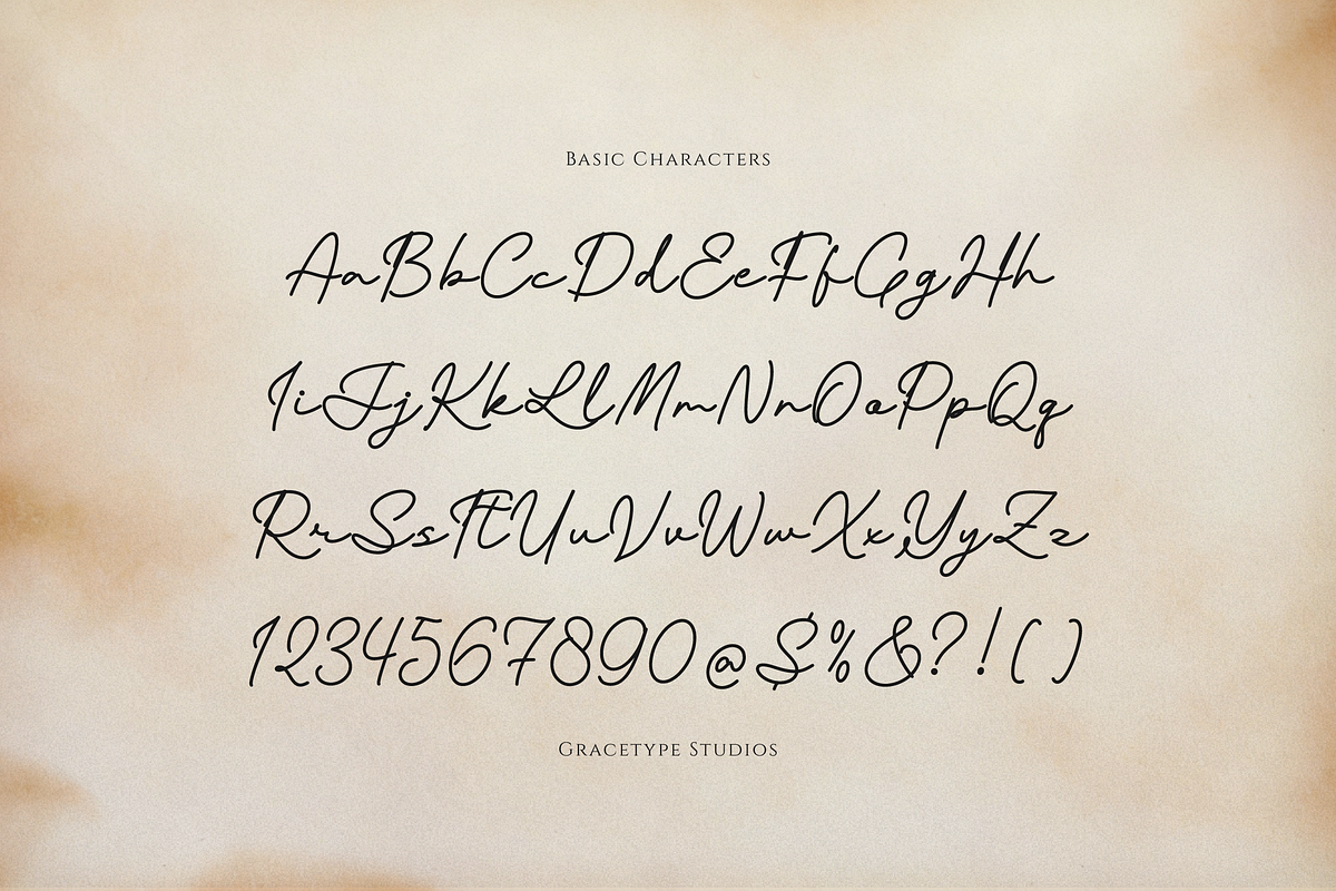 Pafilona | Monoline Script, a Script Font by gracetype_studio (Photo 10 of 12)