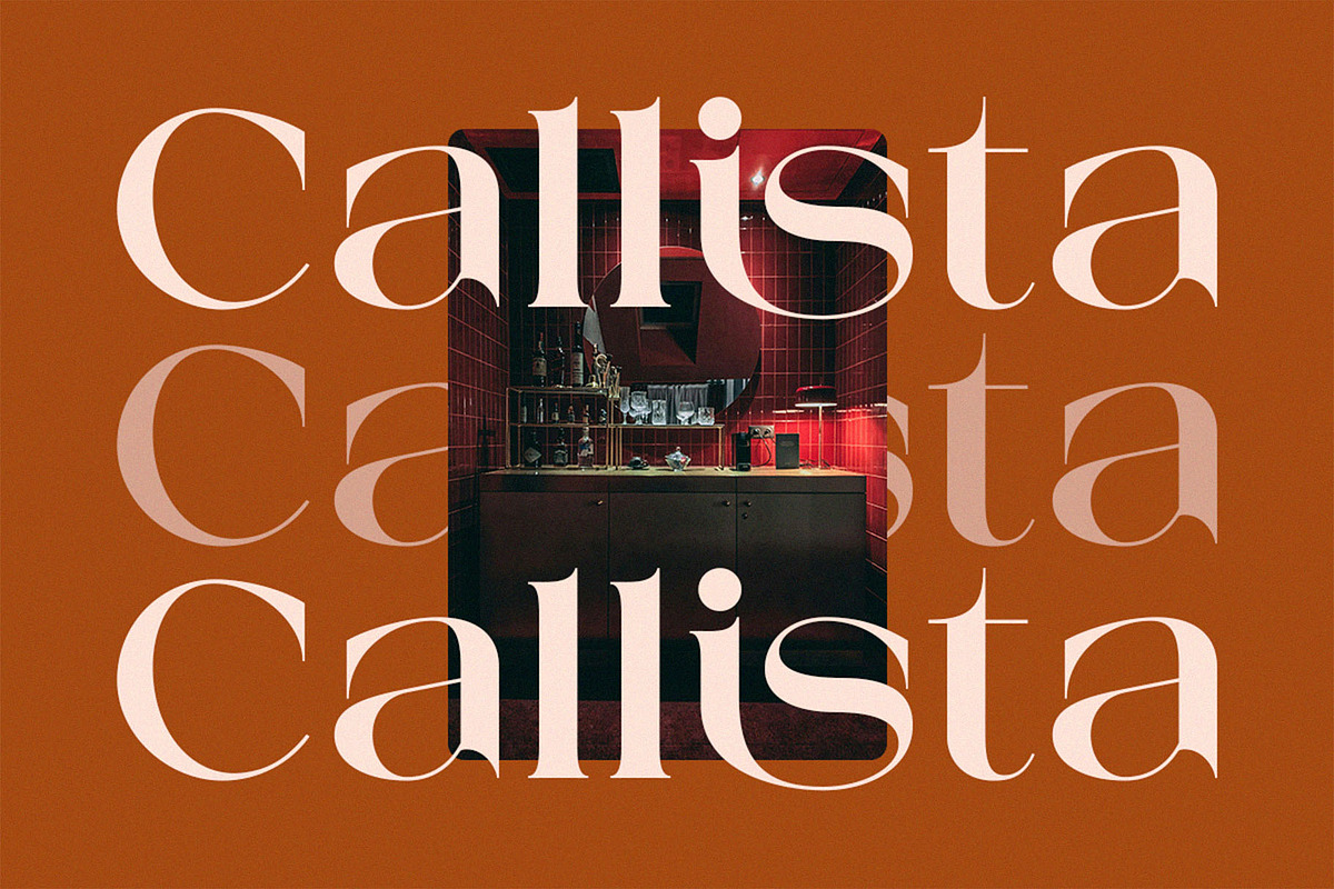 Mestro Serif || Modern Ligature, a Serif Font by ToniStudio (Photo 6 of 10)