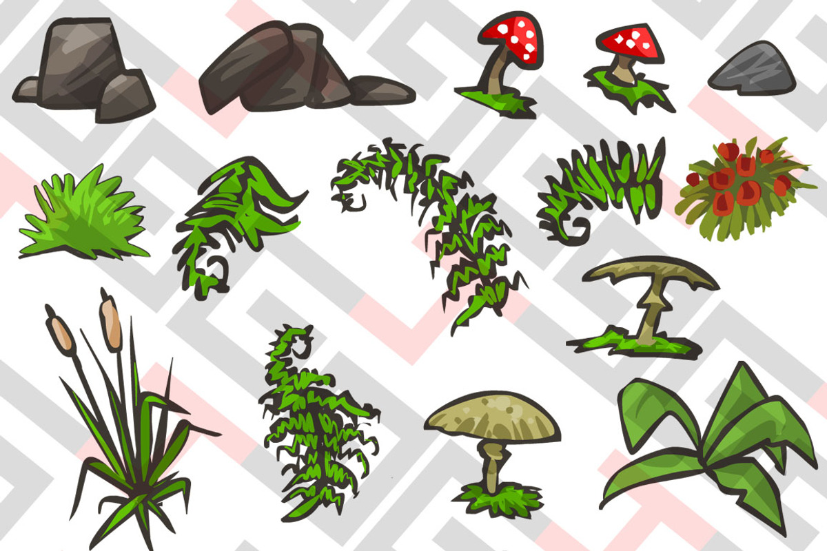 Plants and rocks