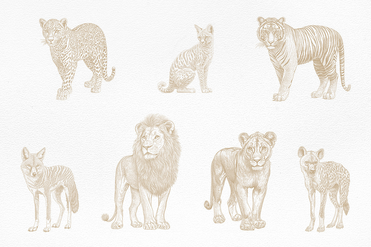 African Safari Animals & Trees Set, an Animal Illustration by NatalieArtShop (Photo 2 of 7)