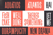 Roles Update!! Ligature Sans Serif, a Sans Serif Font by Perfectype (Thumbnail 13 of 18)