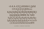 Melion, a Serif Font by OWL KING (Thumbnail 4 of 13)