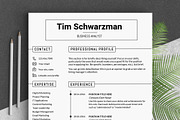 Resume Template / CV Template, a Resume Template by LevelUpResume (Thumbnail 1 of 5)