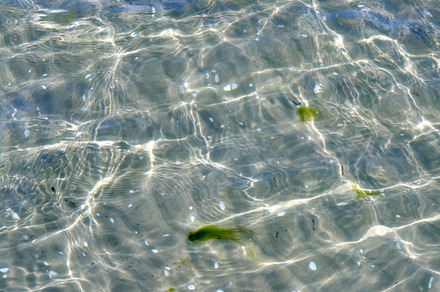 Background, a Photo by Peopleimages.com