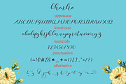 Charlie, a Script Font by NaldyStudio (Thumbnail 3 of 7)