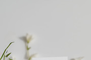 White Florals Watercolor Collection, a Decorative Illustration by Altea Design Studio (Thumbnail 13 of 13)