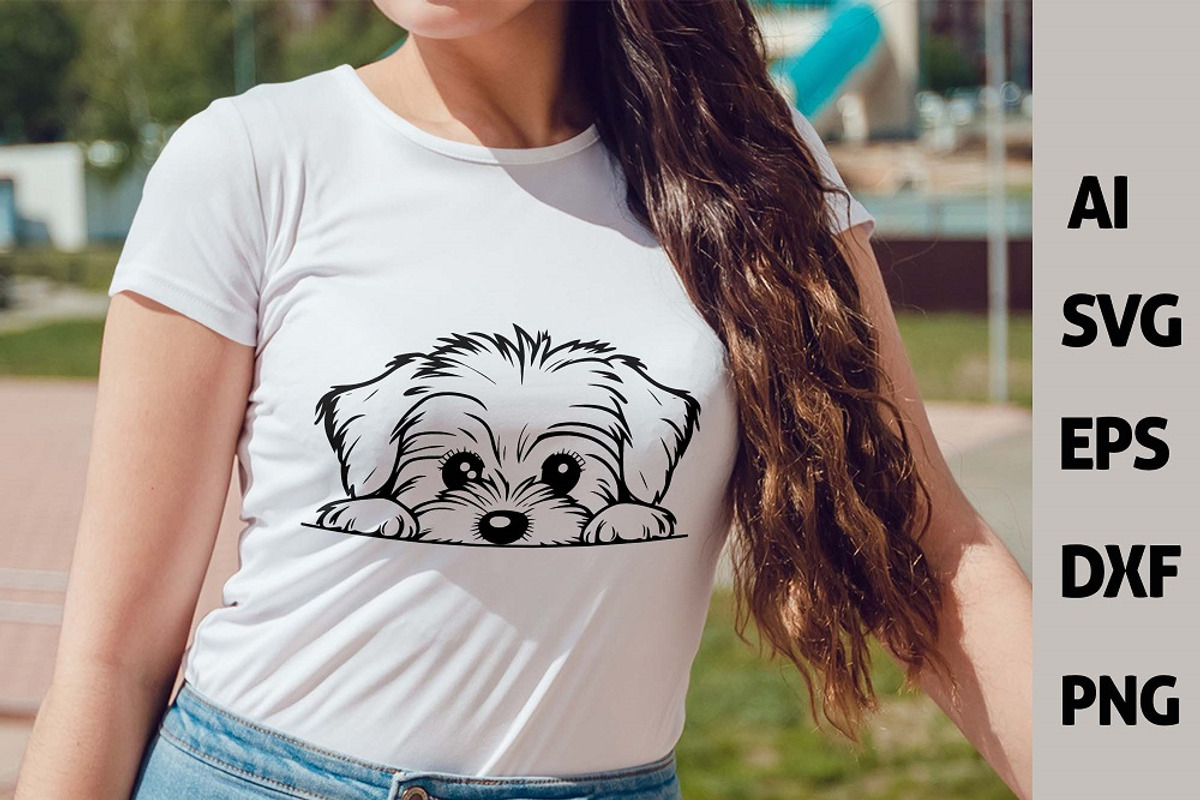 Peeking Havanese Dog Puppy Vector, an Animal Illustration by ARTify Illustrations (Photo 5 of 8)