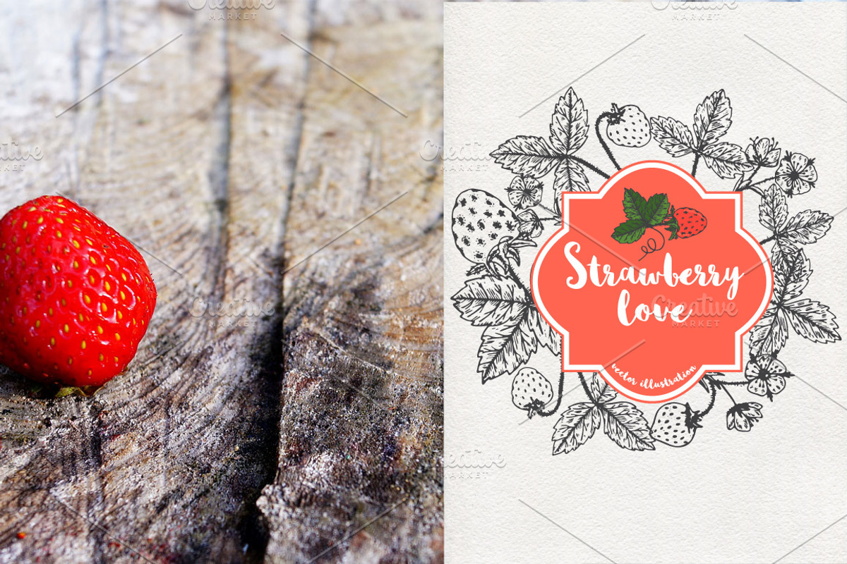 Vector garden strawberry, an Illustration by TashaDraw (Photo 3 of 7)
