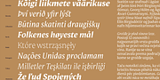 Mestiza, a Serif Font by Lechuga Type (Thumbnail 8 of 16)