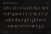 Luxany - Elegant Serif Font, a Serif Font by Inviline.co (Thumbnail 3 of 10)