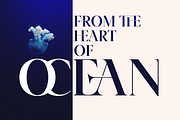 Yacht - Modern Ligature Font, a Serif Font by Genilson Santos (Thumbnail 9 of 19)