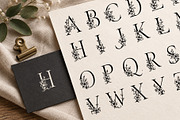 Floral Lace Frames & Ornament Bundle, an Object Graphic by Christine Krahl (Thumbnail 17 of 24)