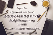 Turgeneva Handdrawn Font, a Script Font by zao4nik (Thumbnail 2 of 7)