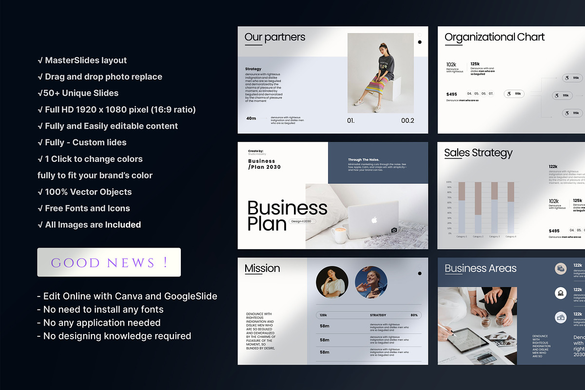 Business Plan Presentation Template preview 4