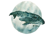 Watercolor Dolphins & Whales poster, an Animal Illustration by Bychovsky design (Thumbnail 4 of 7)