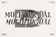 Megphis Modern Serif Font, a Serif Font by Storytype Studio (Thumbnail 12 of 15)