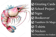 Whimsical Sea Animals Clipart Bundle, a Seasonal Illustration by Canvas Craft (Thumbnail 3 of 6)