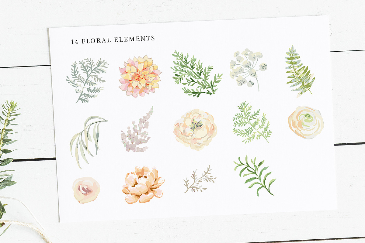 Forest Green & Blush Pink, an Object Illustration by OJardin (Photo 9 of 9)