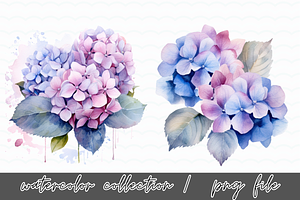 Hydrangea Flowers Watercolor Clipart