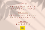 Capadocia sans - Modern & Elegant, a Sans Serif Font by Izalsye (Thumbnail 4 of 5)