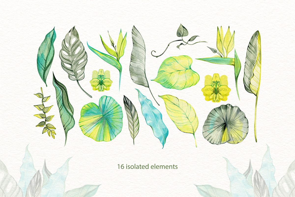 Delicate Tropics Watercolor Clipart, a Decorative Illustration by NataliMiasStore (Photo 2 of 7)