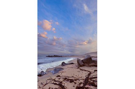 Rocky Beach at Sunset with Seaweed, a Nature Photo by tilialucida