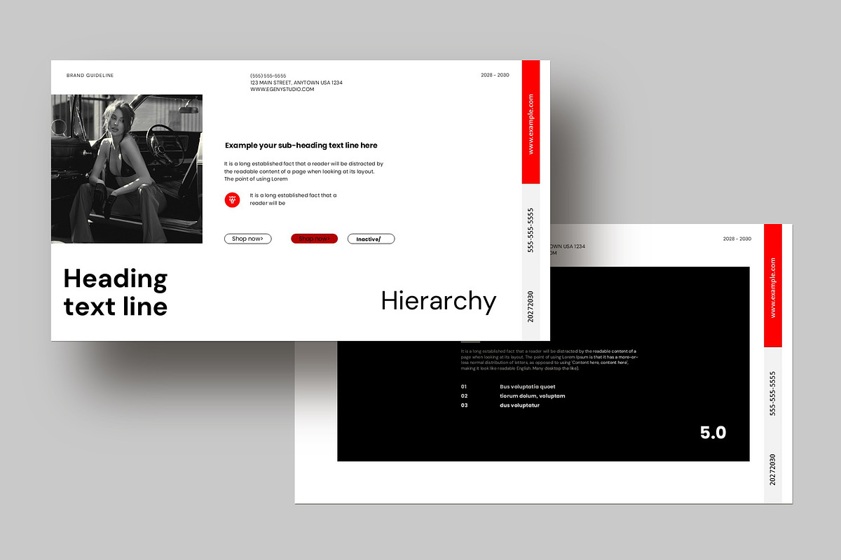 Brand Guidelines Presentation, a Presentation Template by Alvi-Studio (Photo 8 of 9)