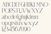 Gementine, a Serif Font by Muksal Creative (Thumbnail 9 of 10)