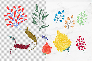 Botanical Illustration Set 1