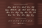 Fantyns Elegant Luxury Script Font, a Script Font by Elegant Font (Thumbnail 6 of 8)
