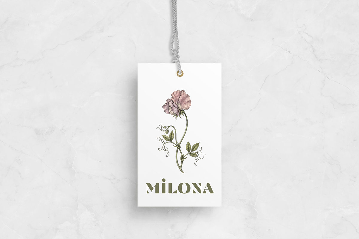 Vintage Botanical Illustrations, a Decorative Illustration by youtoview (Photo 13 of 14)