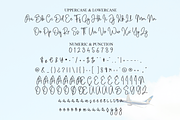 Airplane | Script Font, a Handwritten Font by Scratchones (Thumbnail 7 of 9)