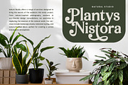 Arguys Regret Display Serif Font, a Serif Font by timelesstype.co (Thumbnail 5 of 20)