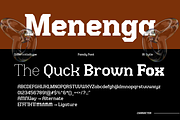 Menenga - Display Family, a Serif Font by Differentialtype (Thumbnail 9 of 11)