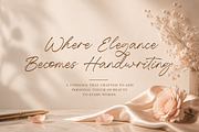 Aleeya | Elegant Handwritten Font, a Script Font by Maenjari Std (Thumbnail 7 of 10)